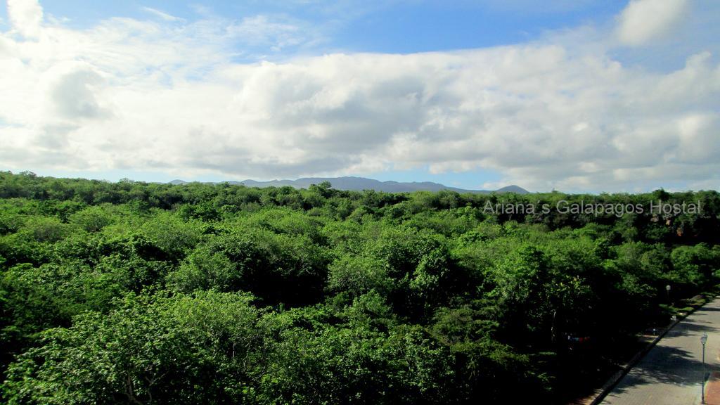Ariana'S Galapagos Hostal Puerto Ayora  Kültér fotó